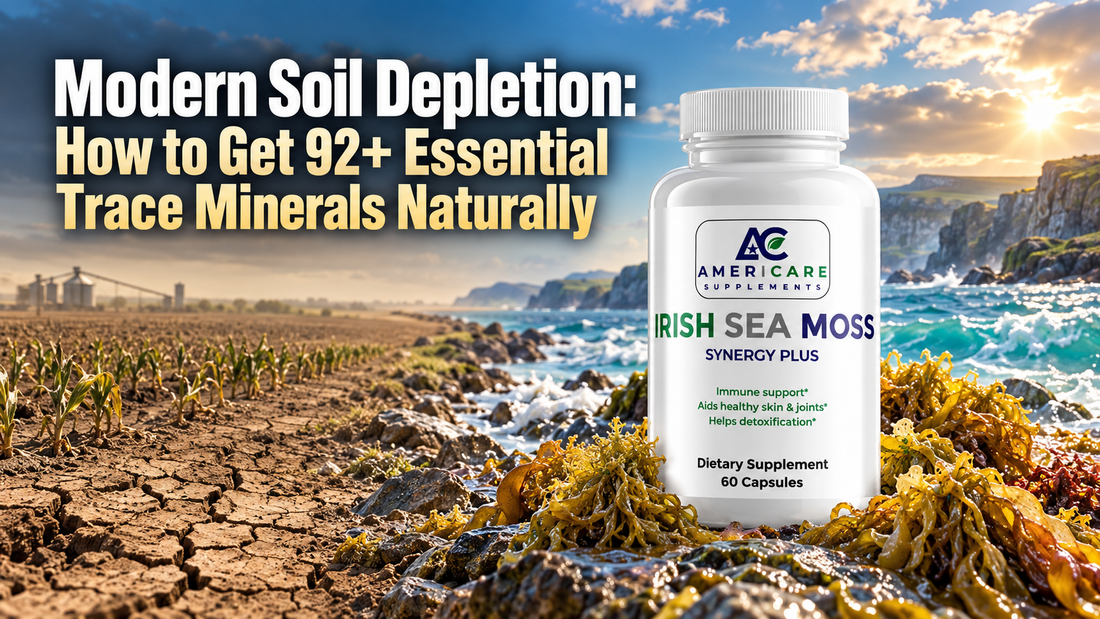 Modern Soil Depletion: What to Know About Trace Minerals